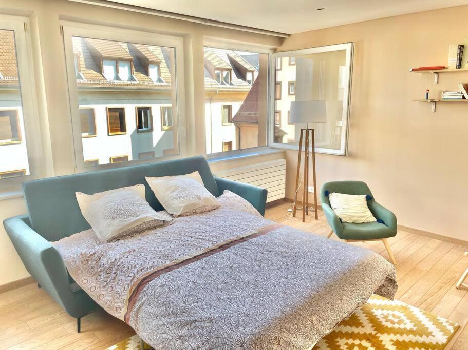 Appartement Spacieux Au Coeur De Strasbourg Luaran gambar