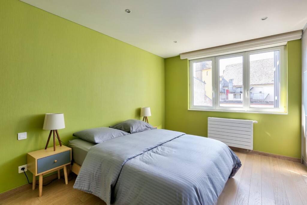 Appartement Spacieux Au Coeur De Strasbourg Luaran gambar